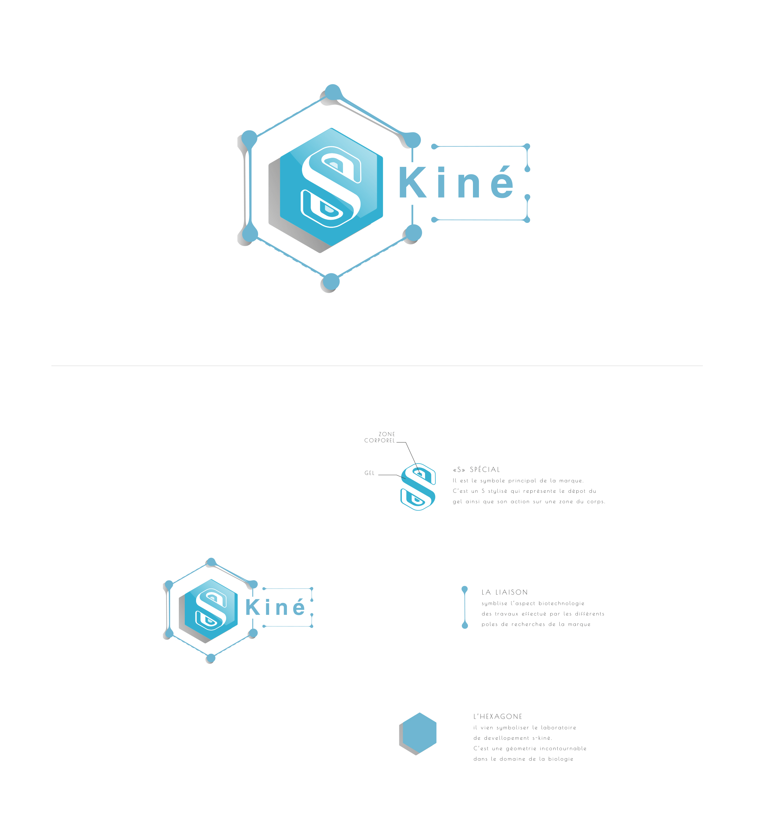 Conception du logo S kin pour AIDA Dev.