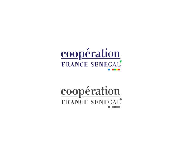 Logo Coopration France-Sngal