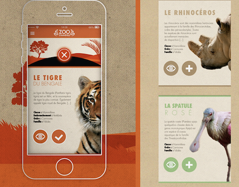 UI / UX - Application design - Zoo