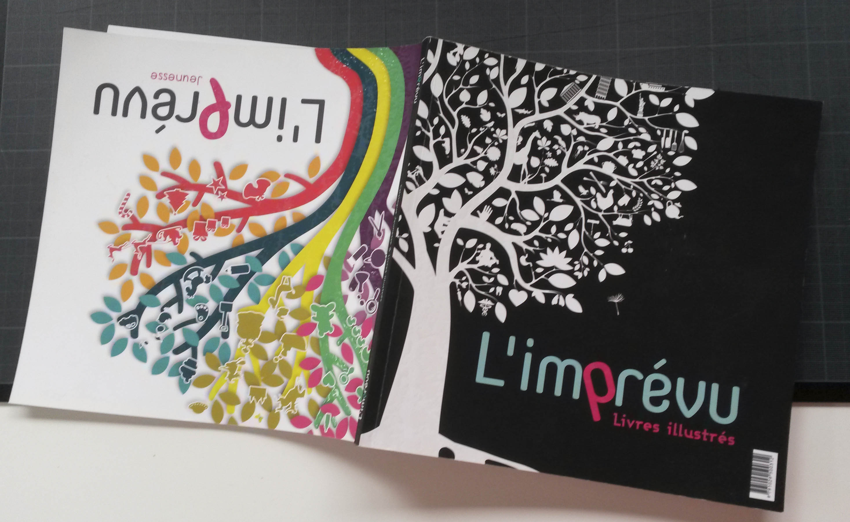 L'Imprévu // Catalogue 70 pages / Illustration