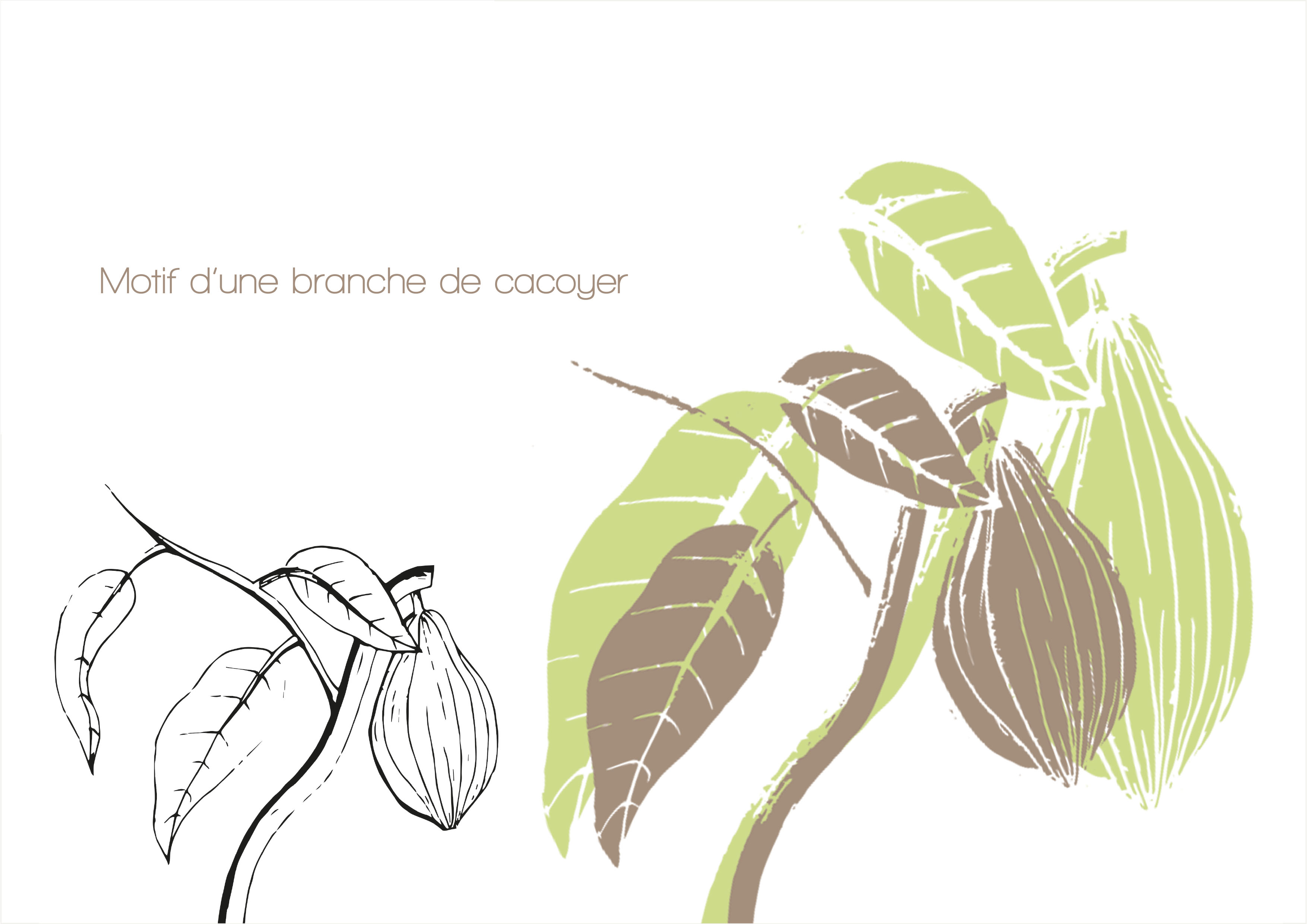 Création d'un motif à partir d'une illustration