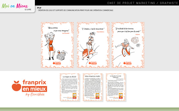 Déclinaison des Illustration sur des Plvs + Créaion de Logo