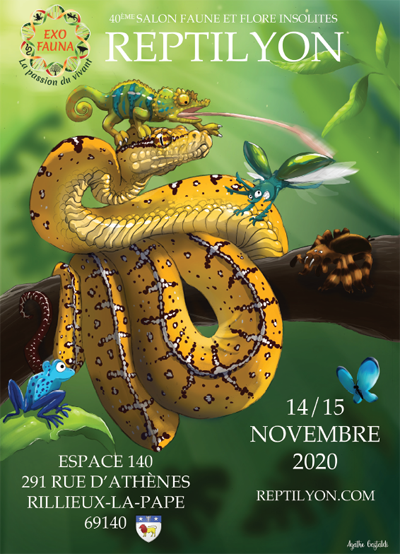 Illustration d'affiche