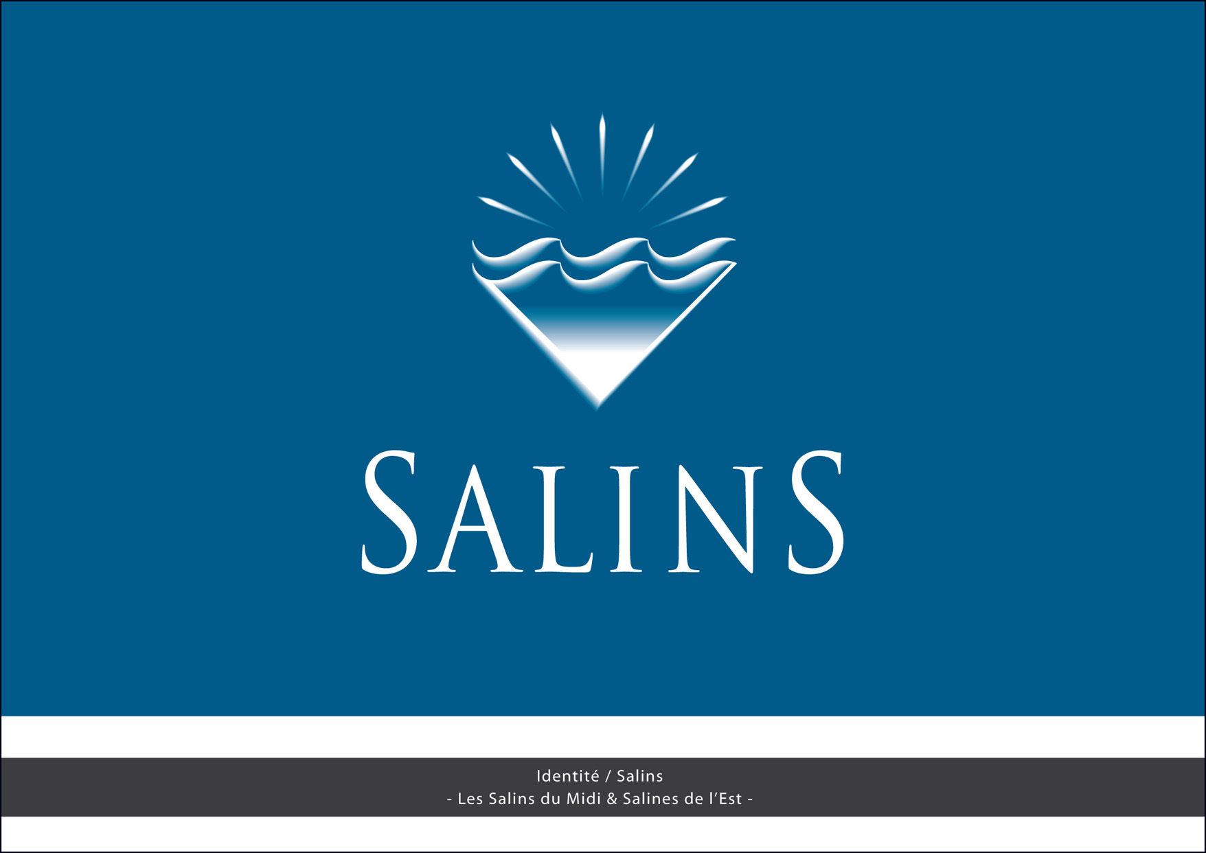 Identit Salins - Salins du Midi (Packaging Sel La Baleine)
