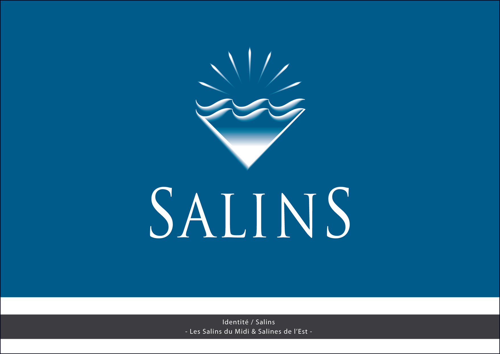 Identité Salins - Salins du Midi (Packaging Sel La Baleine)