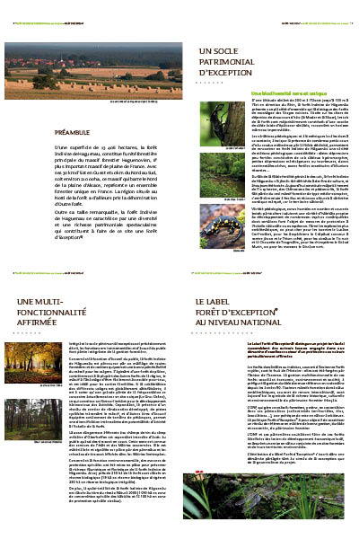 brochure