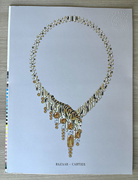 Support print