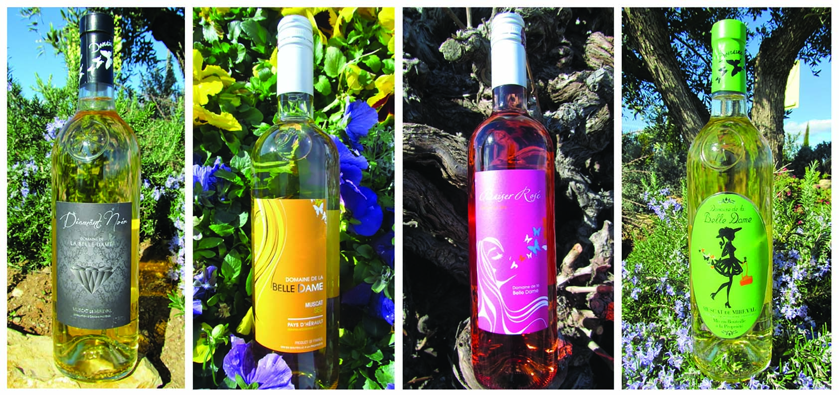 Creation étiquettes de vin - Domaine La Belle Dame