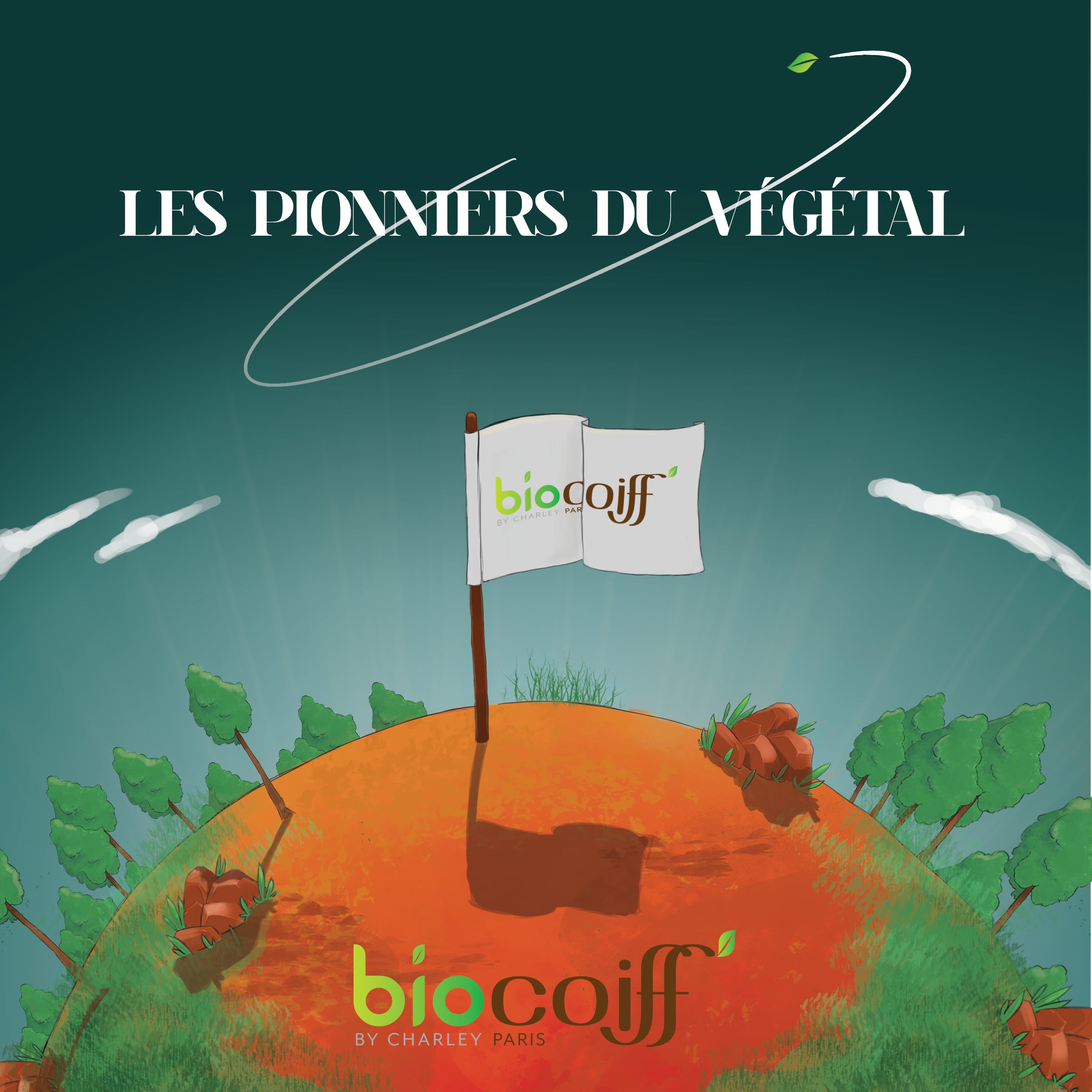 Biocoiff' illustration