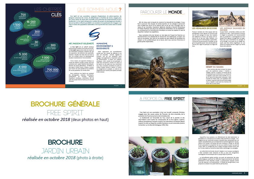 Free Spirit - Mise en page des brochures de présentation