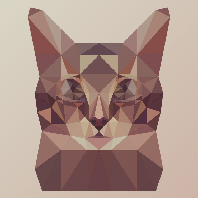 Chat low poly