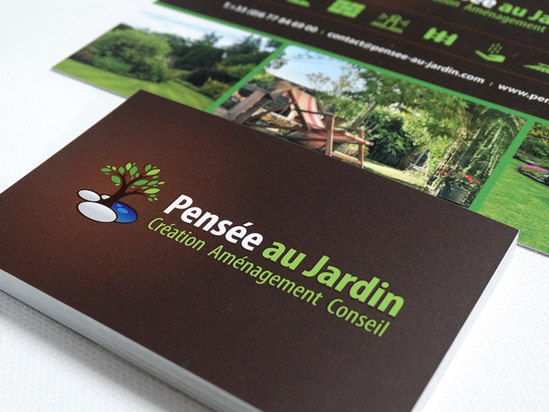Pensée au Jardin