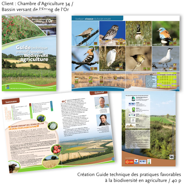 Client : Chambre d’Agriculture 34 /