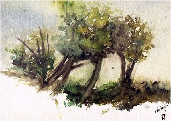 AQUARELLE