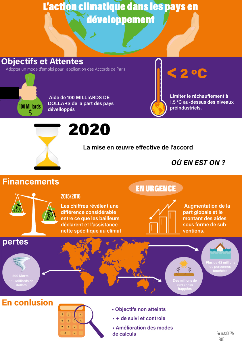 Infographie