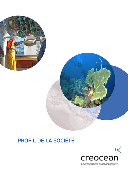 Profil de société