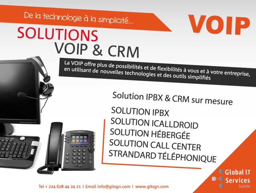 Global IT Services Guinée