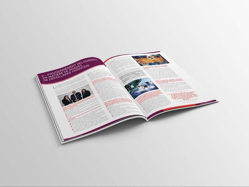 APST - Rapport Financier Annuel