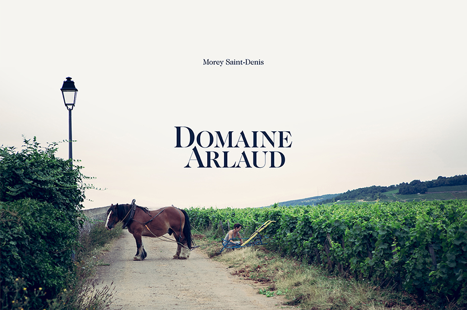 Web design Domaine Arlaud