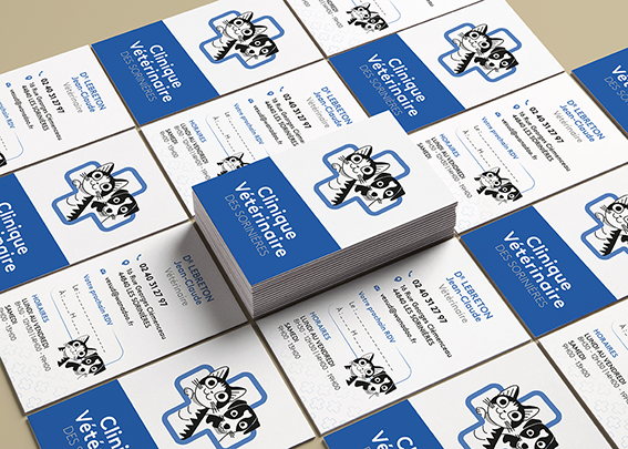 Identité visuelle & Carte de visite