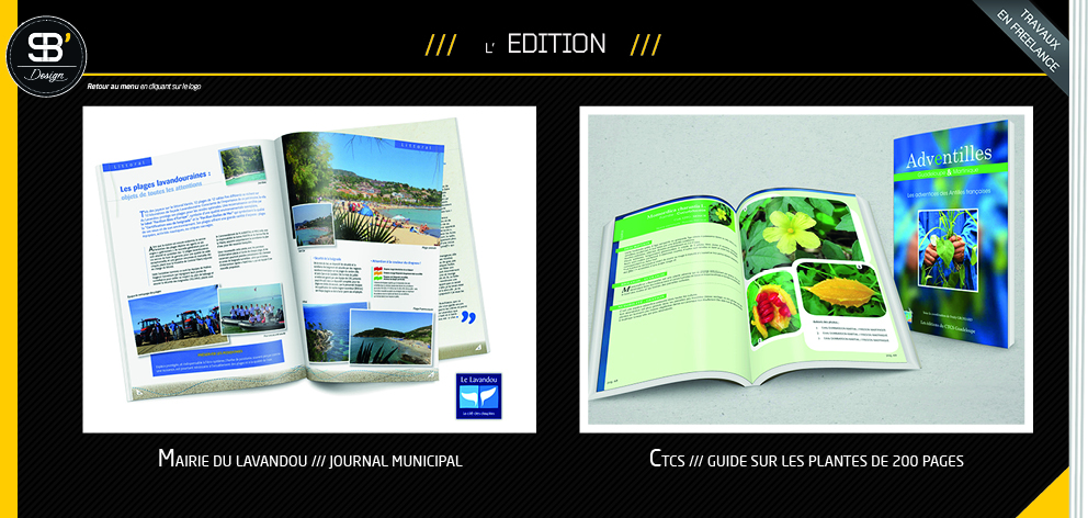 Cration et mise en page d'un journal et d'un guide