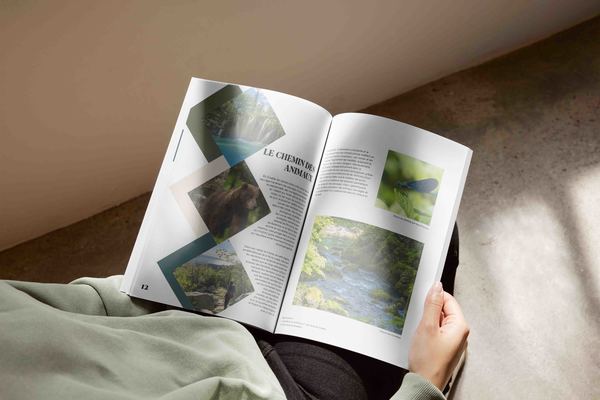 Refonte d'un magazine