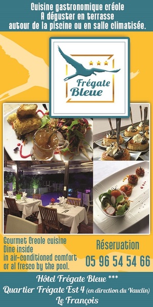 Publicité pour le guide Martinique Bonjour