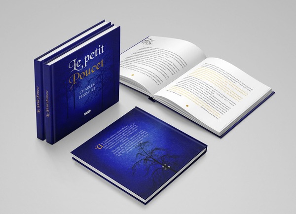 Couverture  livre