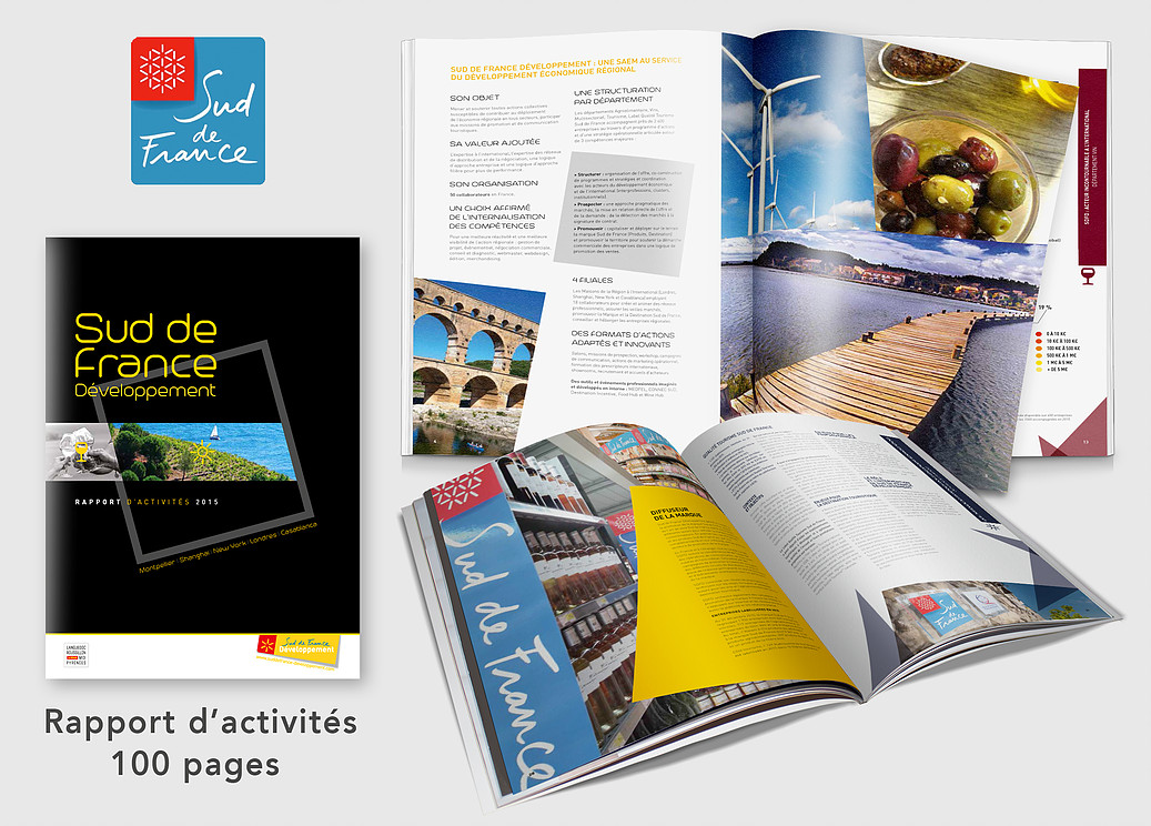 Rapport d'activités Sud de France