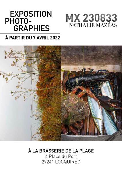 Affiche exposition photos Nathalie Mazéas