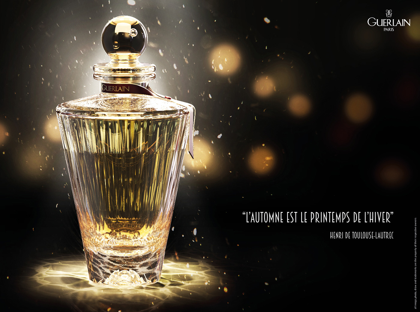 Packaging / Design