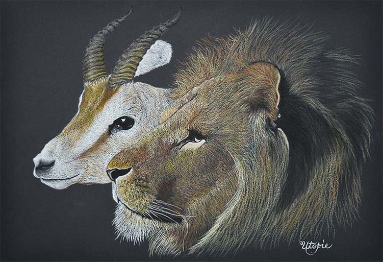Le Lion et la Gazelle - Crayon pastel