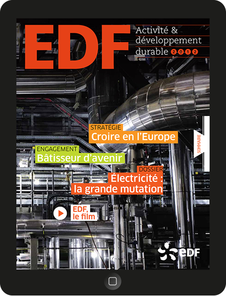 Rapport annuel EDF