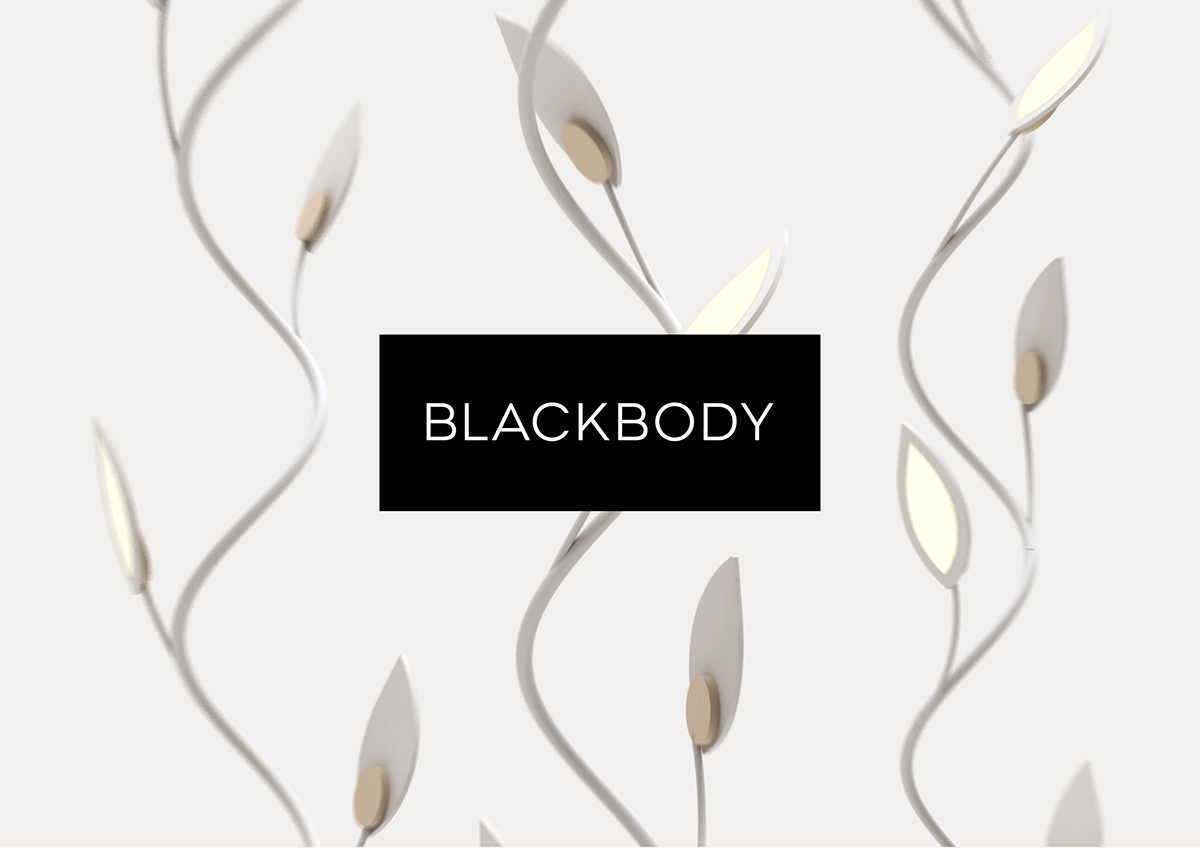 visuel blackbody