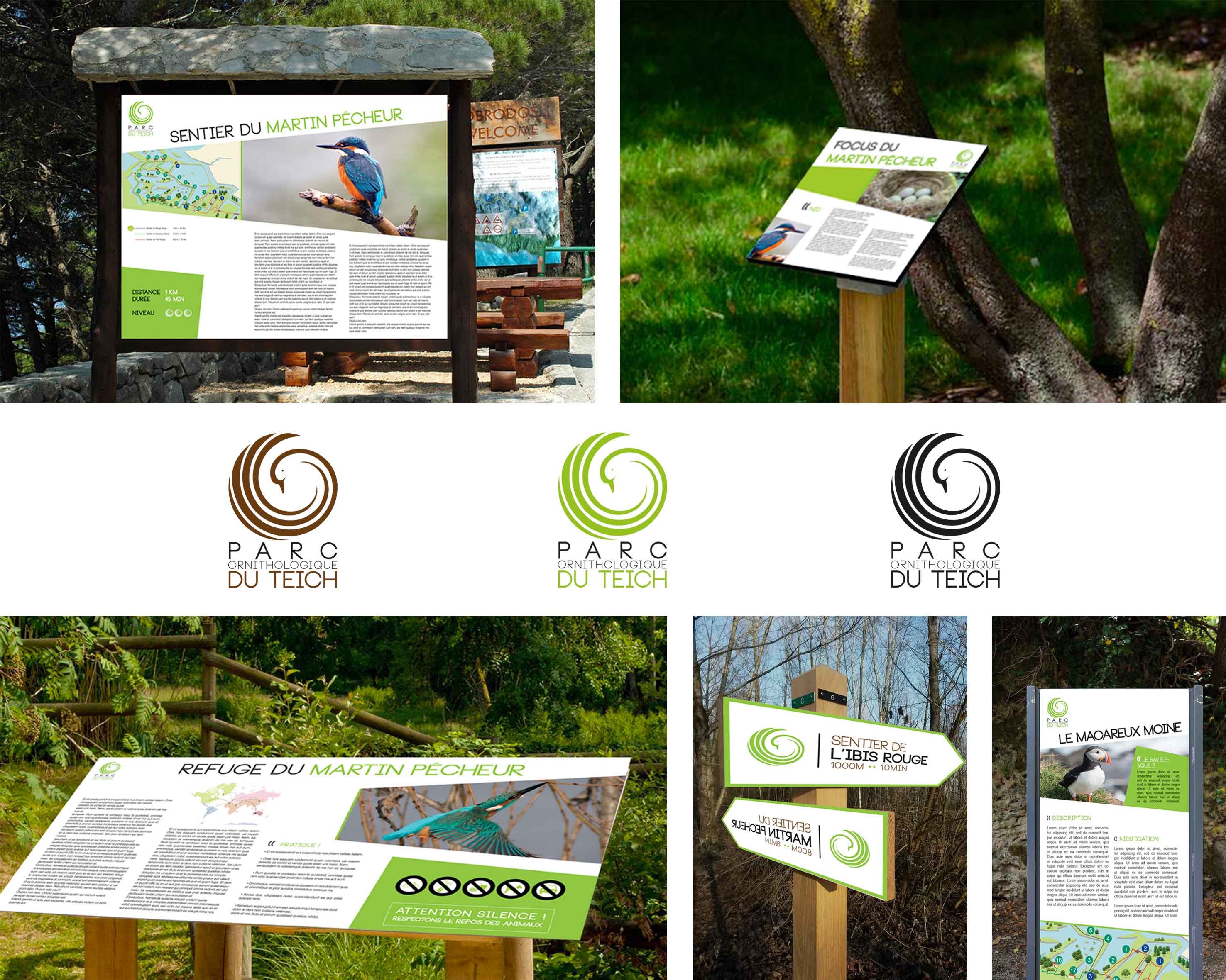 Identité visuelle Parc Ornithologique