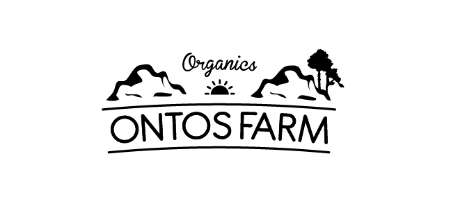Design d'identité