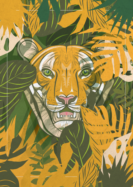 ILLUSTRATION // TIGRE