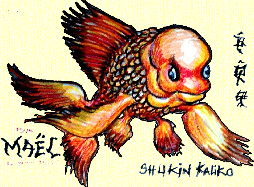 SHUKIN KALIKO