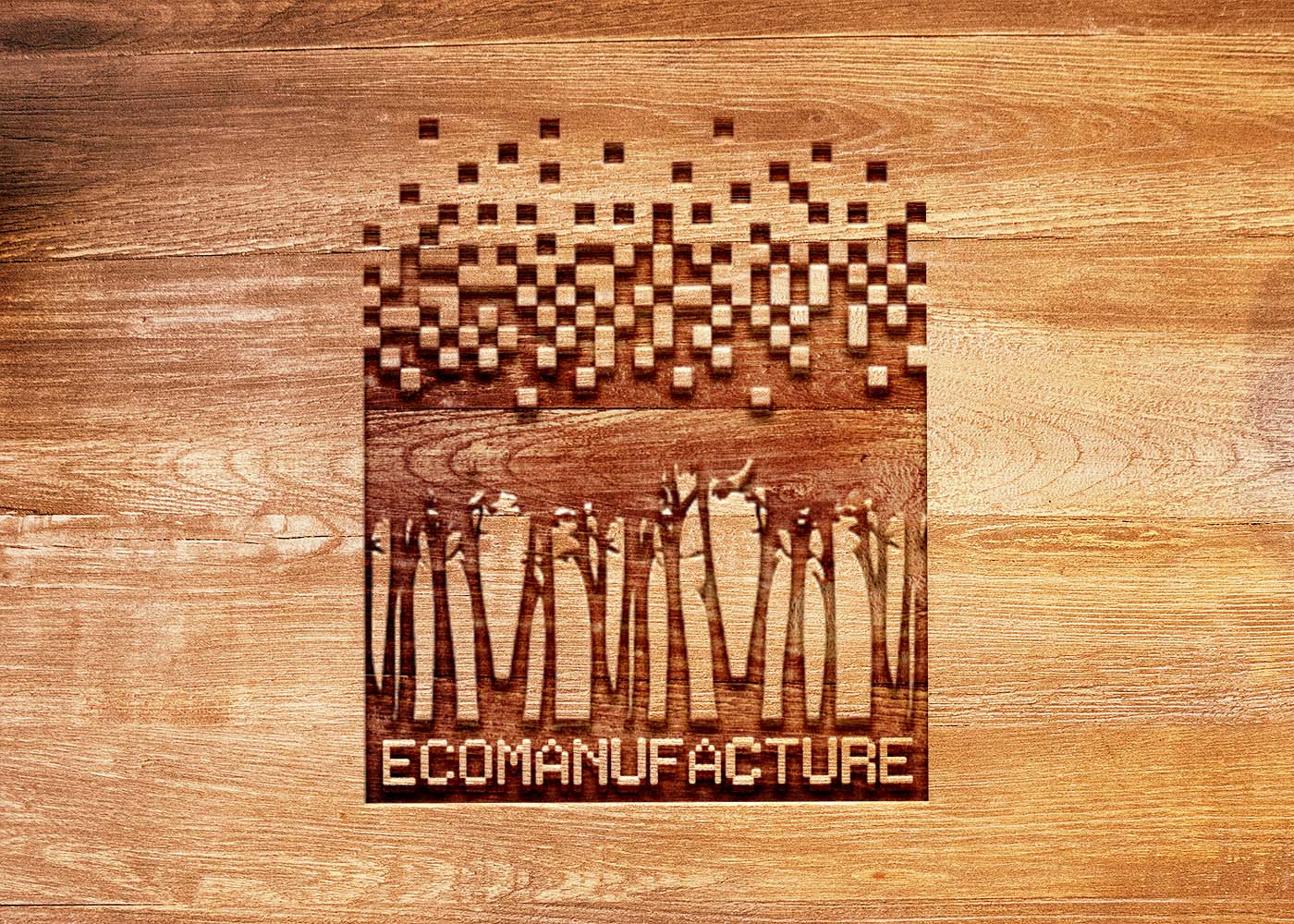 2013 - Ecomanufacture