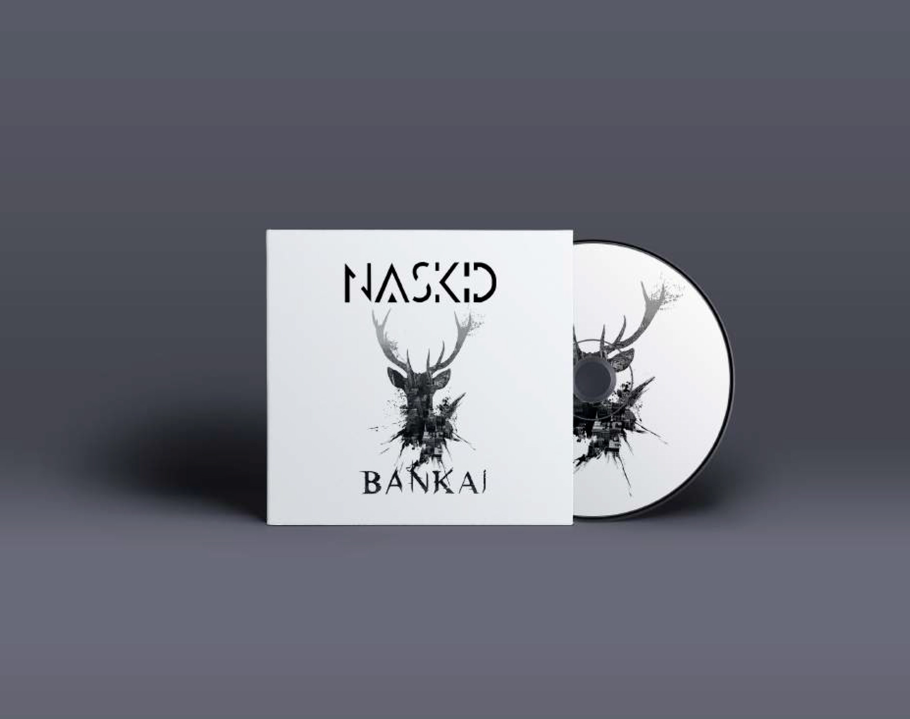 POCHETTE DU SINGLE BANKAI DE NASKID