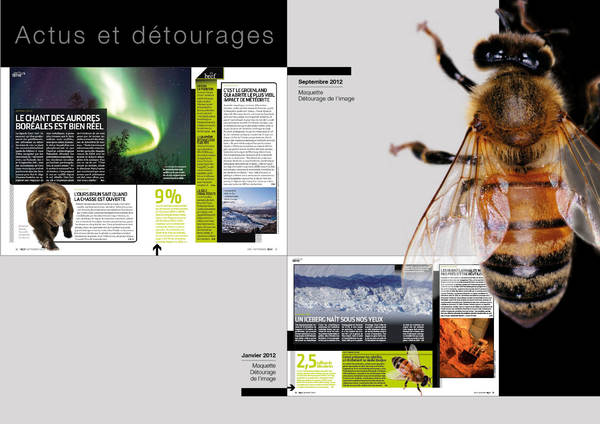 Maquette de pages d'actualités de Science & Vie