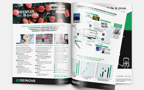 Brochure + Illustration