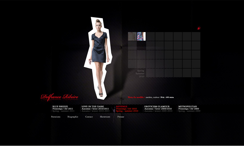 Web - Delfrance Ribeiro