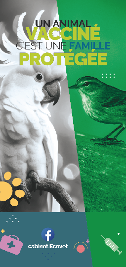 AFFICHAGE VITRINE CABINET VETERINAIRE