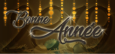 Carte bonne année