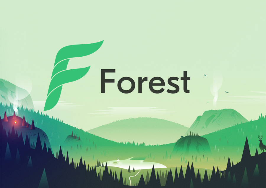 Identit de marque application Forest