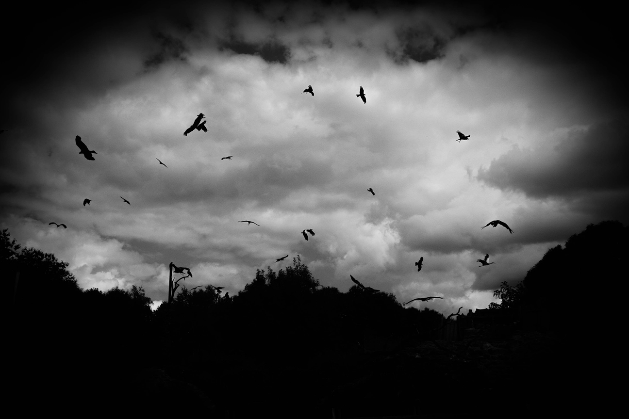 Photographie Puy du fou