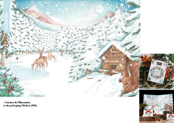 Medicis - Illustration et Packaging - Calendrier de l'avent