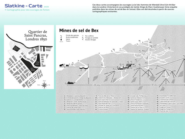 Slatkine & Cie : Cartographie pour des ouvrages de fiction