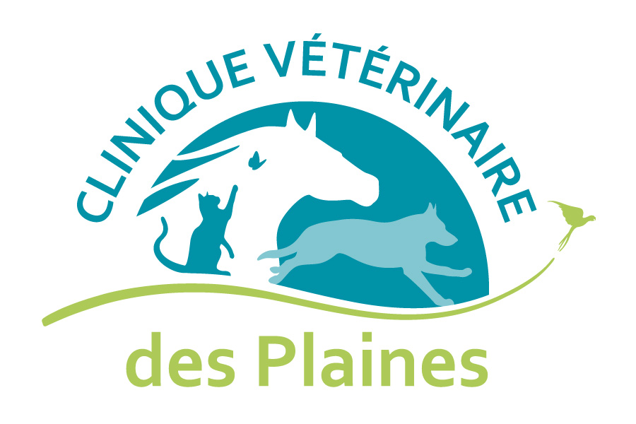 Création d'un logo